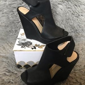 𝐁𝐋𝐀𝐂𝐊 𝐖𝐄𝐃𝐆𝐄𝐒